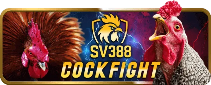 Bảo mật niw88 nhà cái